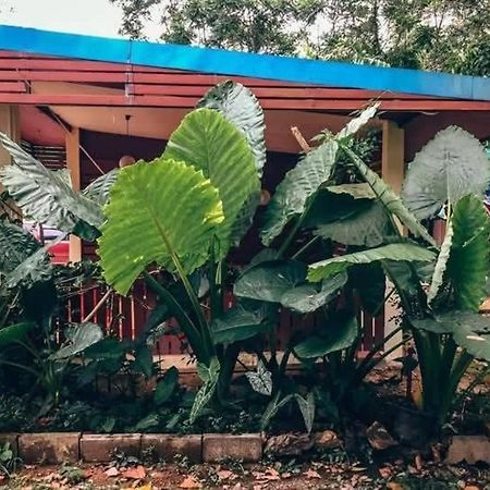 Song Pee Nong Resort Phattalung パッタルン エクステリア 写真