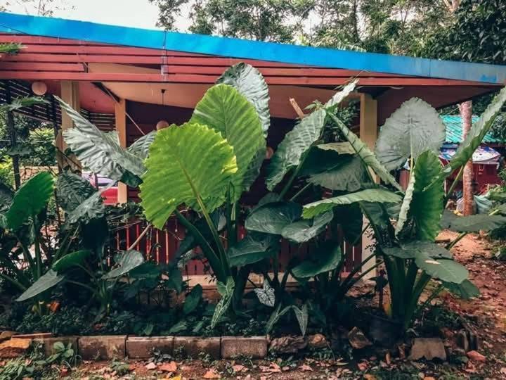 Song Pee Nong Resort Phattalung パッタルン エクステリア 写真